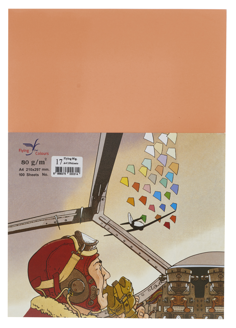 รูปภาพของ กระดาษสีถ่ายเอกสารฟลายอิ้ง (Flying) Colours No.17 สีแซลมอน (100 แผ่น)